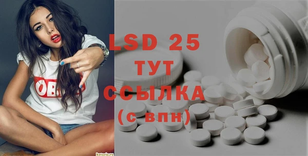сатива Ельня