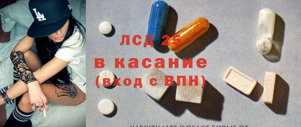 сатива Елизово