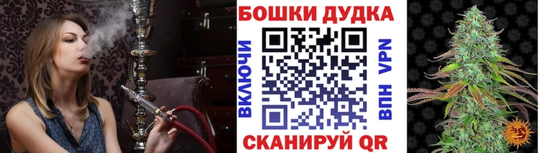 Купить где  Катав-Ивановск  Бошки Шишки OG Kush 